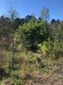 4.17 Acres Starr Hinson Road - Photo 16