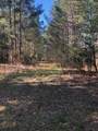 4.17 Acres Starr Hinson Road - Photo 17