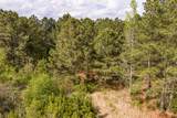 4.17 Acres Starr Hinson Road - Photo 8
