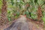 28 Sabal Palm Trail - Photo 128