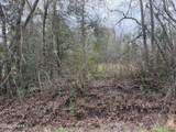 0000 Green Loop Road - Photo 5