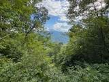 Lot 30 Hickory Cove Road - Photo 4