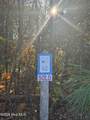 173 Lake View Pass - Photo 10