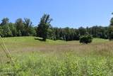 55,56,96 Daylily Drive - Photo 3