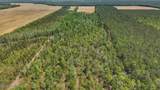 0 Guinea Mill Road - Photo 21