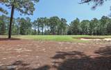 55 Palmetto Road - Photo 7