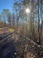 41 42 43 Ridges - Photo 13
