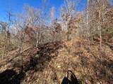 41 42 43 Ridges - Photo 4