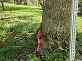Lot 2 Preserve Road - Photo 22