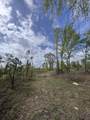 1508 Hephzibah - Mcbean Road - Photo 2