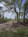 1508 Hephzibah - Mcbean Road - Photo 3