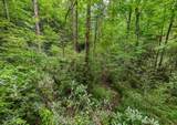 399 Shell Stand Road - Photo 9