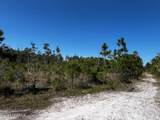 Lot 81 Trevino Road - Photo 3