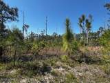 Lot 81 Trevino Road - Photo 6
