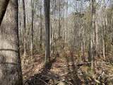 Lot 12 Robin Boulevard - Photo 8