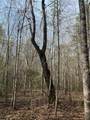 Lot 12 Robin Boulevard - Photo 9
