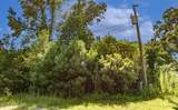 133 Shade Tree Lane - Photo 12