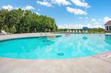 1151 Little Martha Way - Photo 45