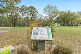 3056 Purple Finch Lane - Photo 4