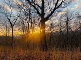 00 Aster Trail - Photo 1