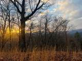 00 Aster Trail - Photo 5