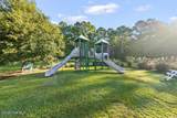 68 Wild Swan Lane - Photo 60