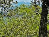 TR1-22 Majestic Mountain Trail - Photo 5