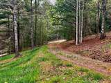 TR1-22 Majestic Mountain Trail - Photo 9