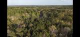 2797 Raborn Road - Photo 14