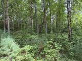 Lot 9 Confederate Circle - Photo 4
