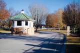 161 Sunshine Drive - Photo 9