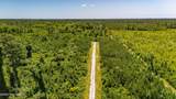 Tract1 & 2 Kershaw Road - Photo 4