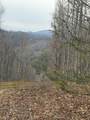 491 Otter Mountain Road - Photo 10