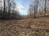 491 Otter Mountain Road - Photo 2