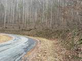 491 Otter Mountain Road - Photo 24