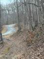 491 Otter Mountain Road - Photo 34