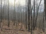 491 Otter Mountain Road - Photo 40