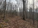 491 Otter Mountain Road - Photo 41