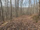 491 Otter Mountain Road - Photo 44
