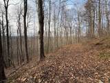 491 Otter Mountain Road - Photo 46