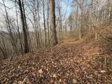 491 Otter Mountain Road - Photo 50