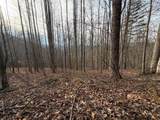 491 Otter Mountain Road - Photo 51