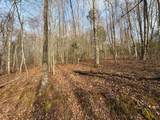 491 Otter Mountain Road - Photo 52