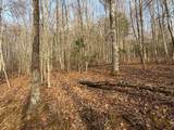 491 Otter Mountain Road - Photo 53