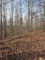 491 Otter Mountain Road - Photo 54