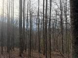 491 Otter Mountain Road - Photo 56