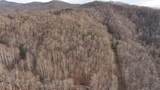 491 Otter Mountain Road - Photo 60