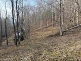491 Otter Mountain Road - Photo 61
