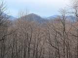 491 Otter Mountain Road - Photo 9