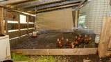 1740 Windingstairs Road - Photo 102